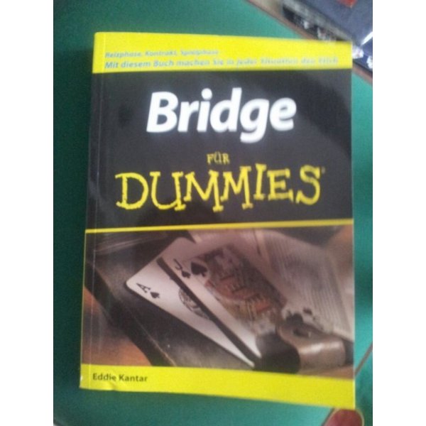bridge for dummies pdf