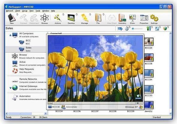 netsupport manager download